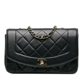 Chanel Diana  Leather Shoulder Bag (Pre-Owned)